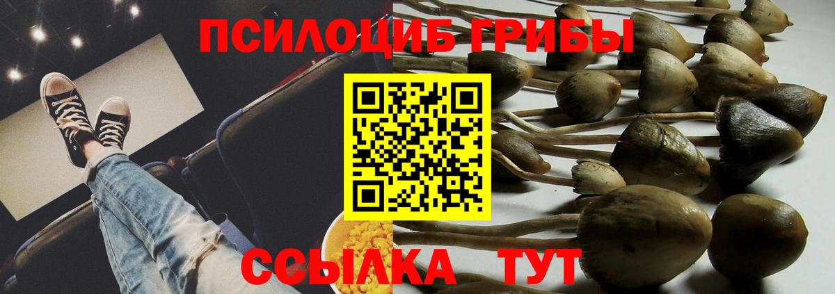 Камень-на-Оби  Псилоцибиновые грибы Psilocybe  магазин продажи наркотиков  Вход с VPN 