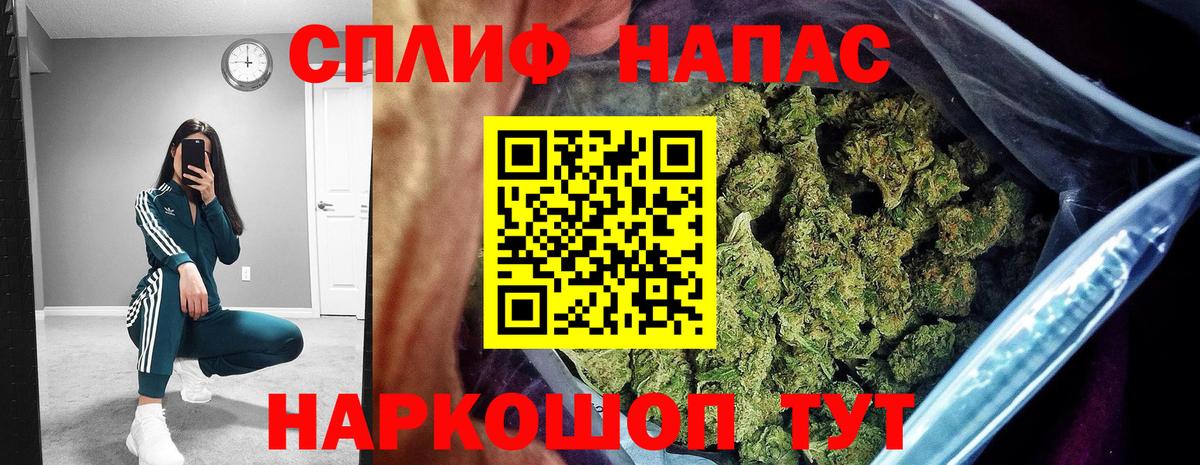 Камень-на-Оби  Конопля VHQ  Шишки марихуана план  Вход с VPN 